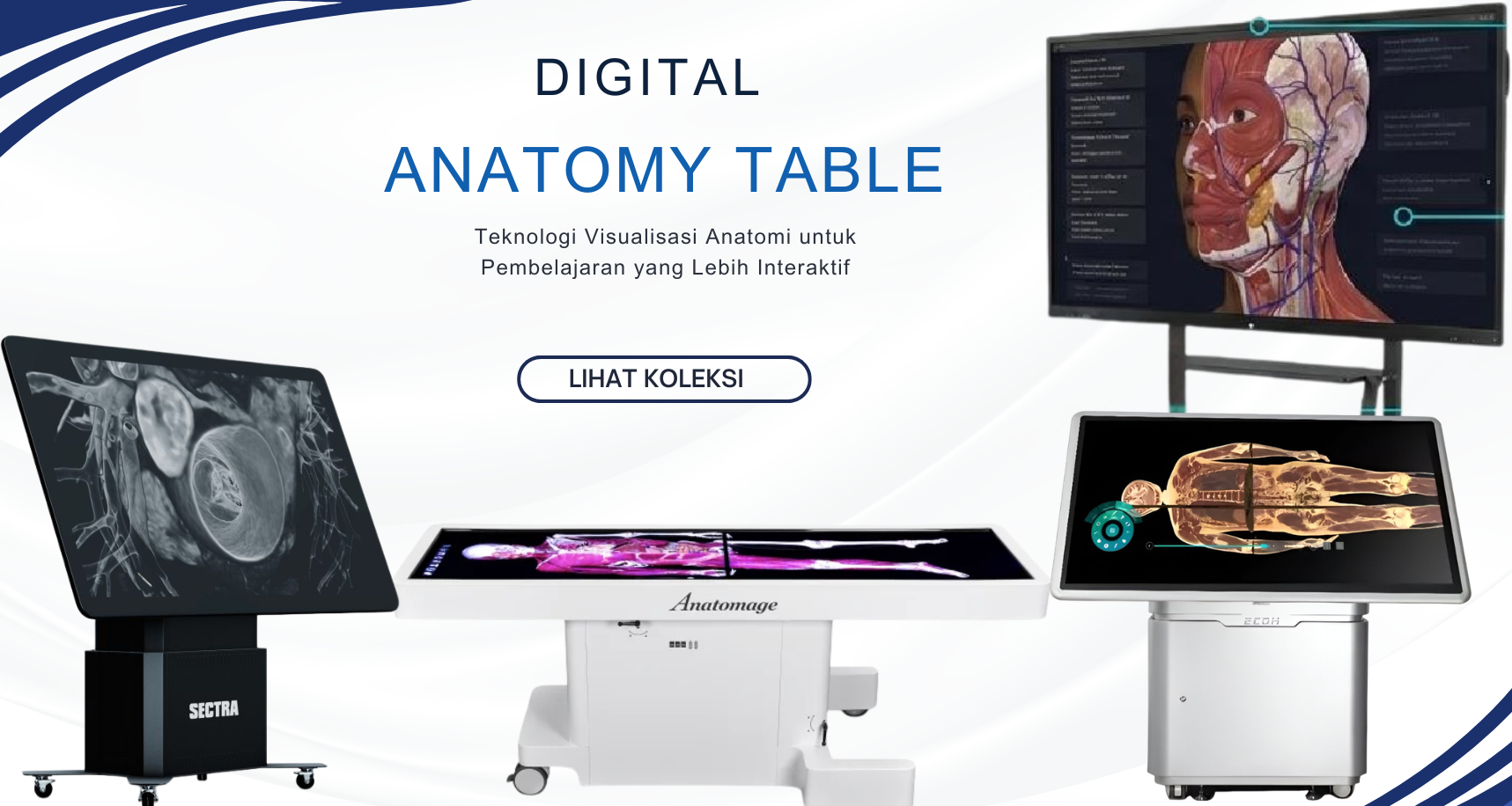 Digital Anatomy Table