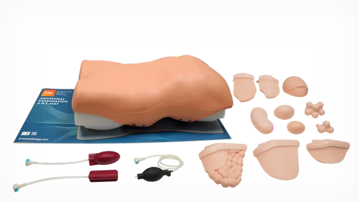 Abdominal Examination Trainer (60000)