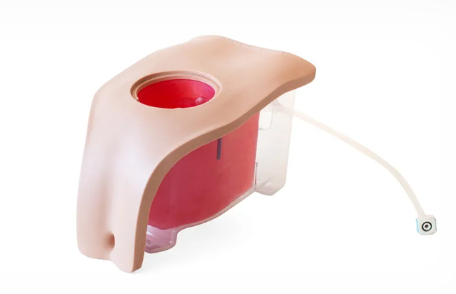 Suprapubic (Ultrasound) Catheterization Module (Light Skin Tone) (60857)