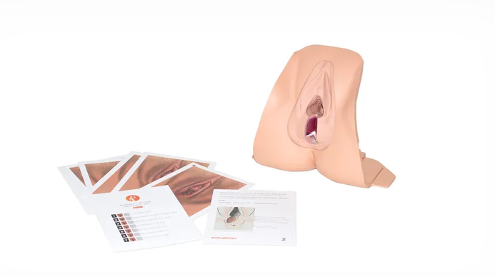 Anal Sphincter Repair Trainer (Light Skin Tone) (61002)